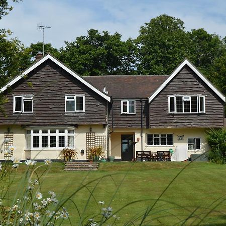 Little Forest Lodge Ringwood Exteriér fotografie