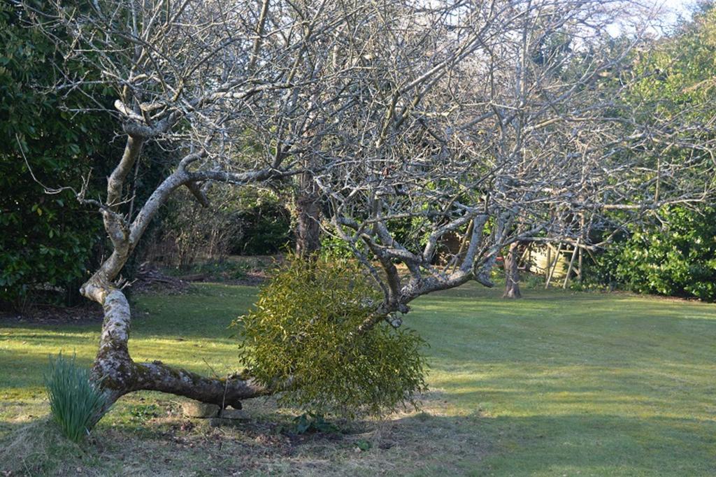 Little Forest Lodge Ringwood Exteriér fotografie