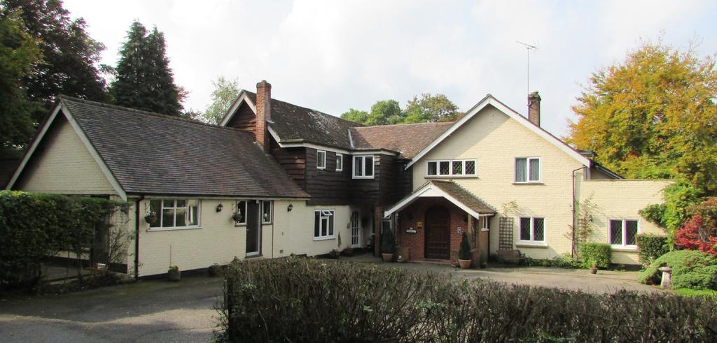Little Forest Lodge Ringwood Exteriér fotografie